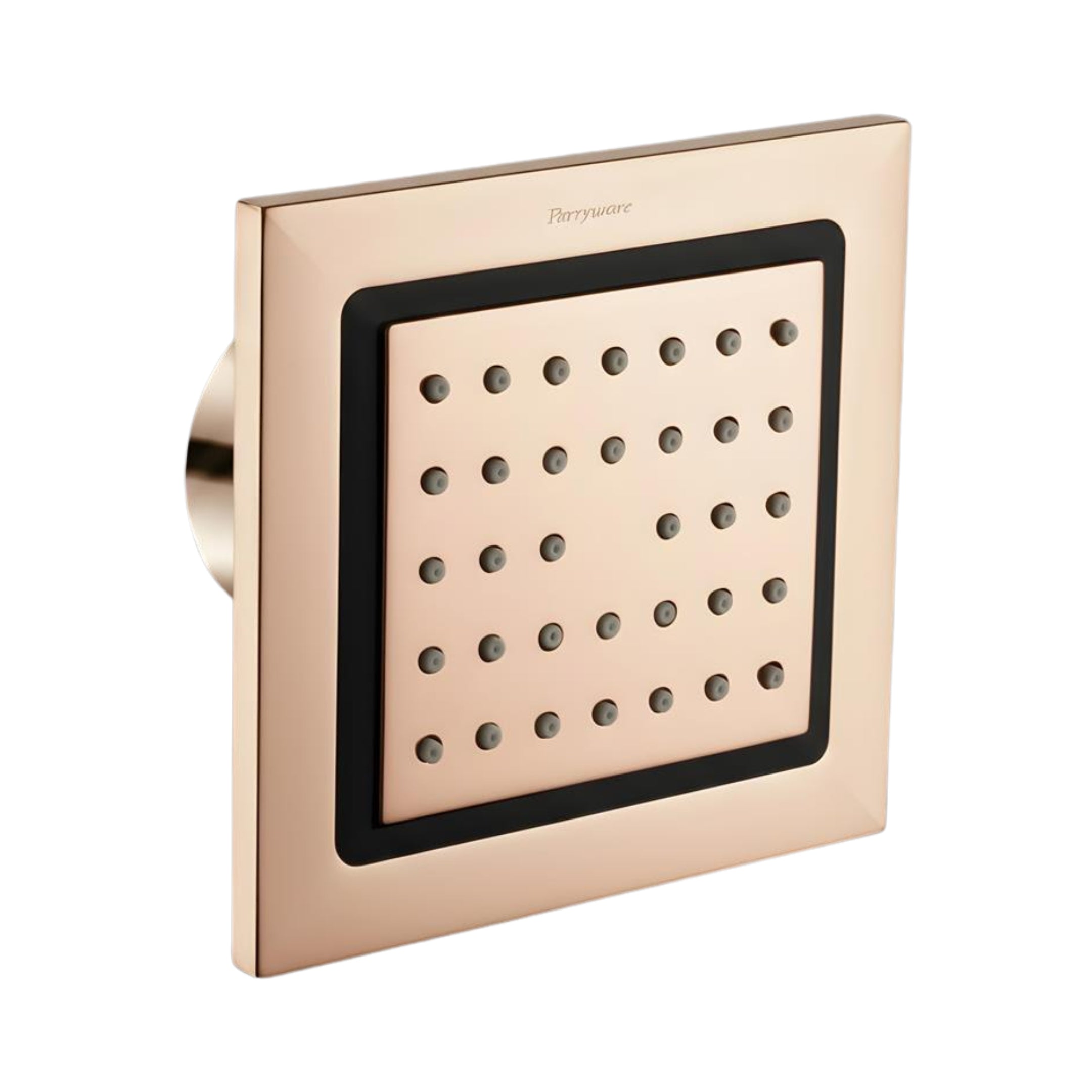 Fusion 6" Brass Body Jet - RG