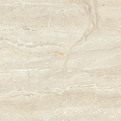 GS DINO BEIGE VC